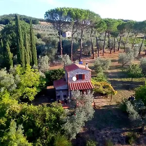Ferienhaus Il-pino Roccastrada